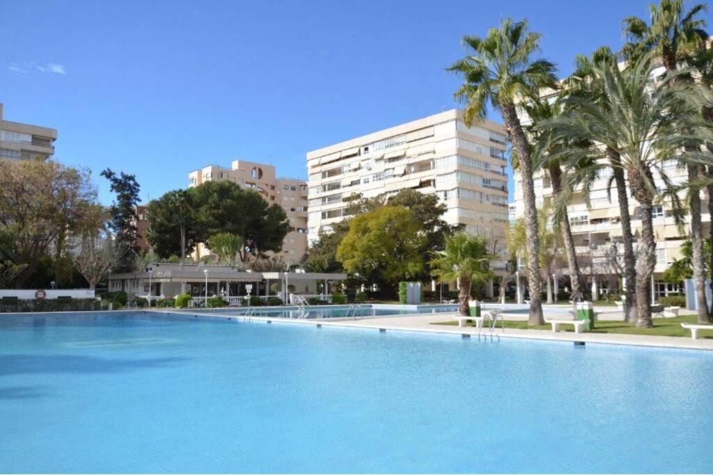 Garden Apartment With Pool And Ac Alicante Dış mekan fotoğraf